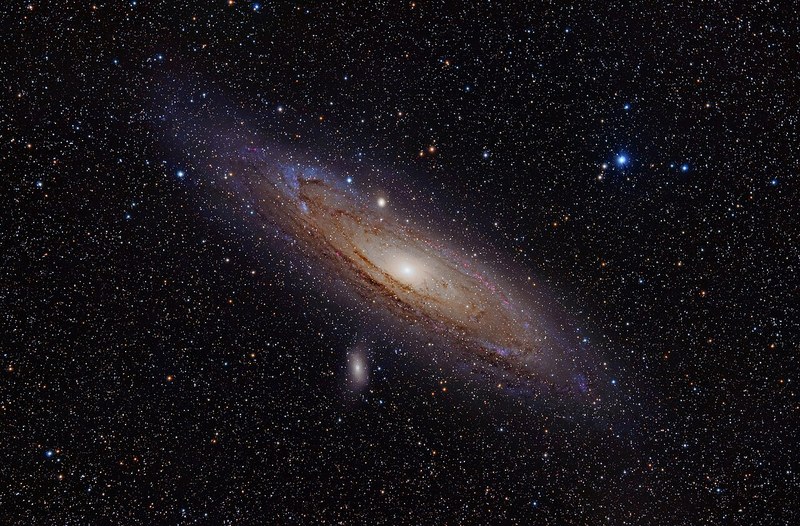 A vast spiral of stars seen at an angle, with a bright core.